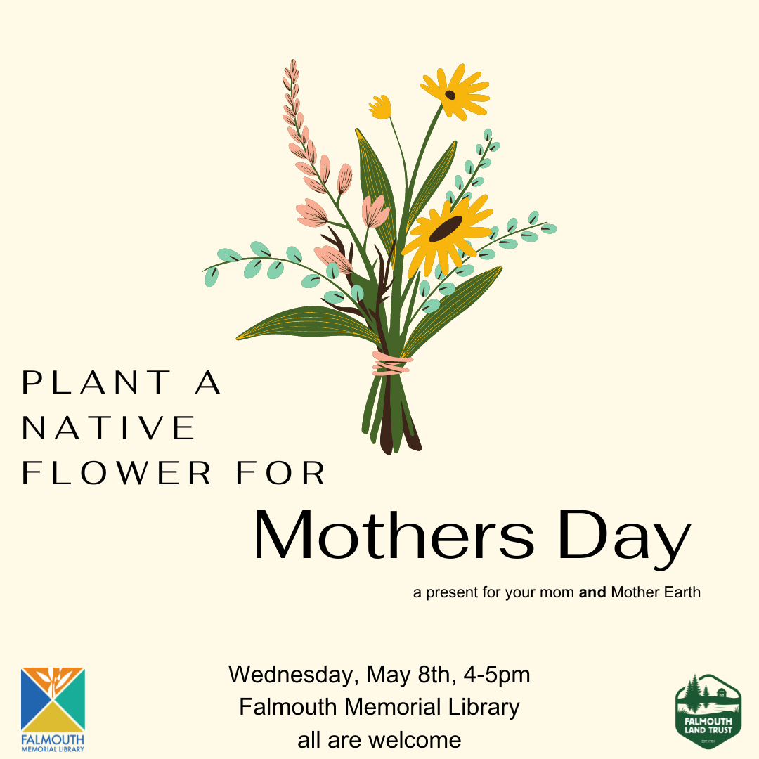 Plant a native flower for mothers day