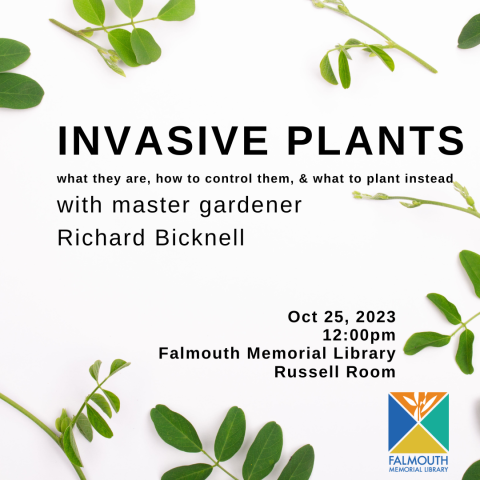 invasive plants