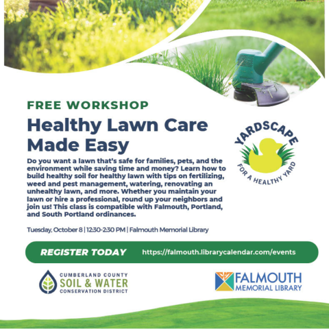 healthy lawn care made easy