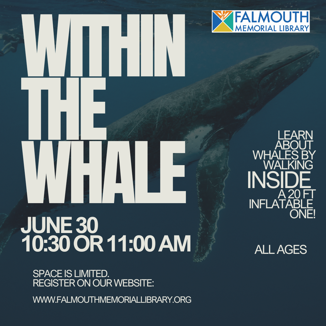 a photo of a whale swimming upwards in the ocean with the words Within the Whale