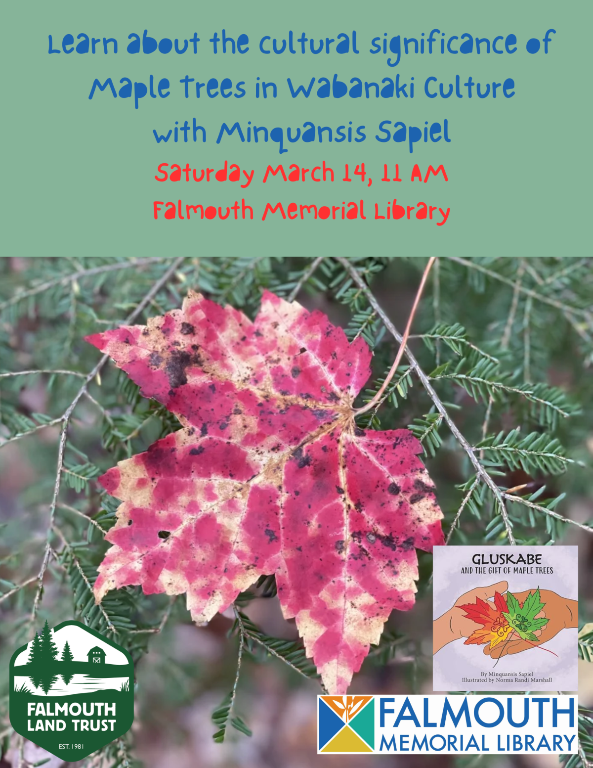 maple tree book cover Falmouth Memorial Library logo, Falmouth Land Trust Logo